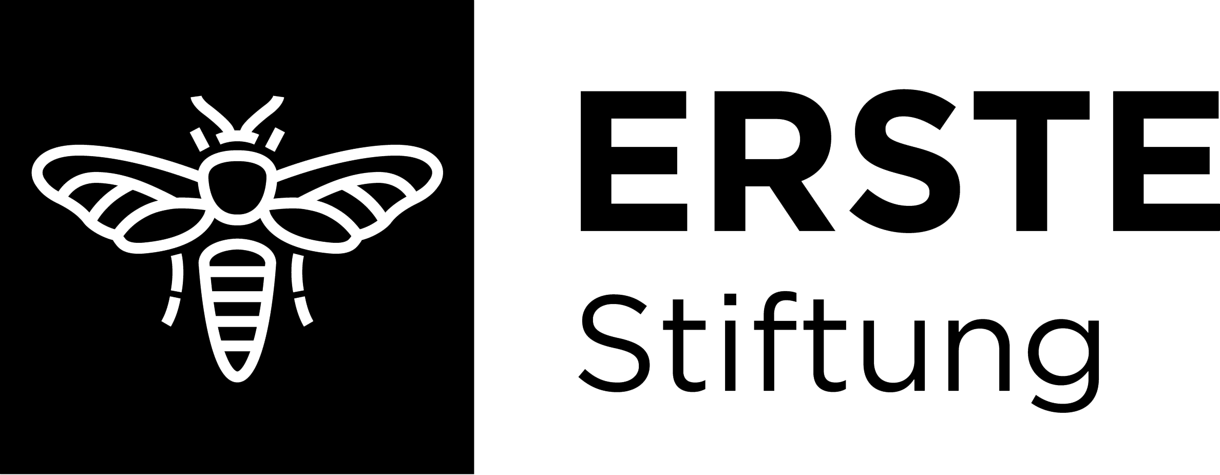 Erste Stiftung Logo